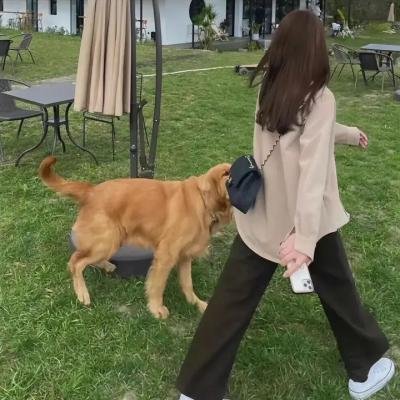 儿子离家时